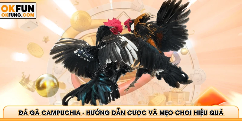 Đá Gà Campuchia