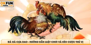 Đá Gà Cựa Dao