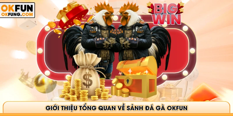 Giới thiệu tổng quan về sảnh đá gà OKFUN