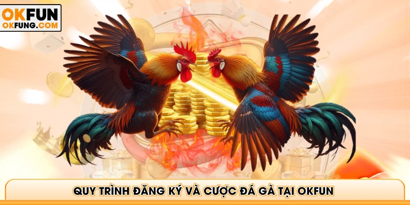 Quy trình đăng ký và cược đá gà tại OKFUN